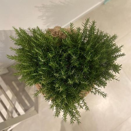 Viesterooms Ngoại thất bức ảnh