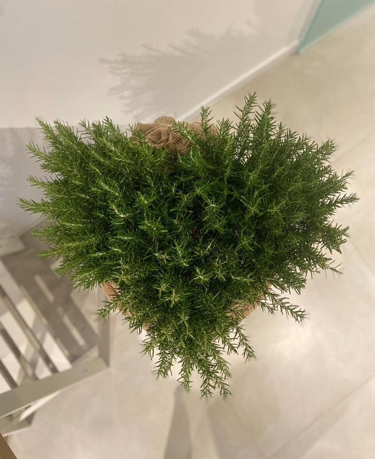 Viesterooms Ngoại thất bức ảnh
